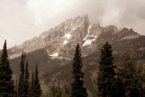 istock Snowcapped Rocky Mountains and Wilderness Pine Trees 1136446987
