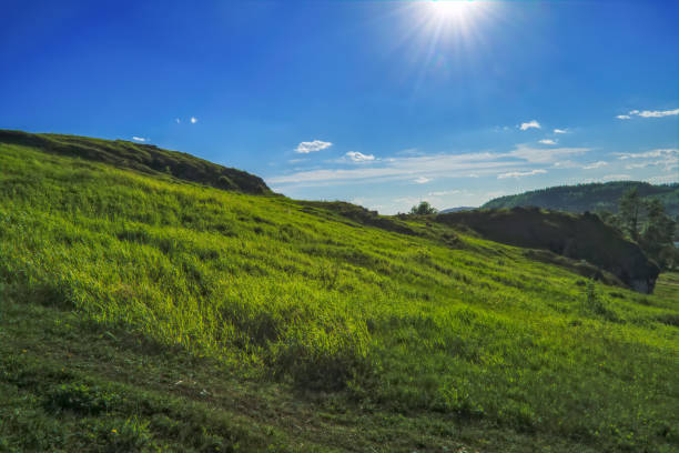 istock Summer landscape on top of a mountain 1136451653