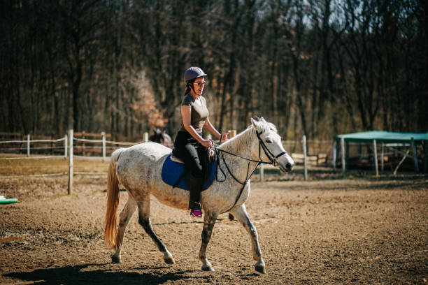 istock Woman practicing with her horse outdoors 1136452084