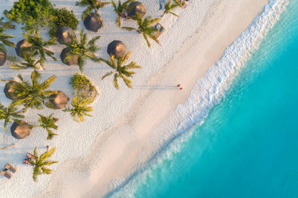 vue aérienne des parapluies, palmiers sur la plage de sable de l'océan indien au coucher du soleil. vacances d'été à zanzibar, en afrique. paysage tropical avec des palmiers, des parasols, du sable blanc, de l'eau bleue, des vagues. vue de dessus - mer photos photos et images de collection