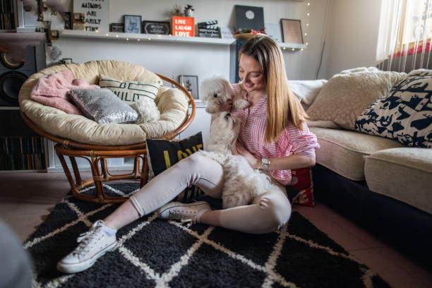 istock Beautiful hipster girl and her pets 1136453479