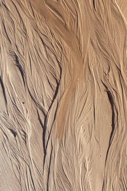 istock Natural sand texture of the beach 1136454649