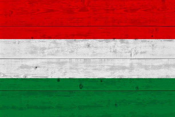 bandera de hungría pintada en el viejo tablón de madera - hungary flag banner dirty fotografías e imágenes de stock