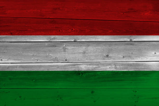 ungheria bandiera dipinta su tavola di legno vecchio - hungary flag banner dirty foto e immagini stock