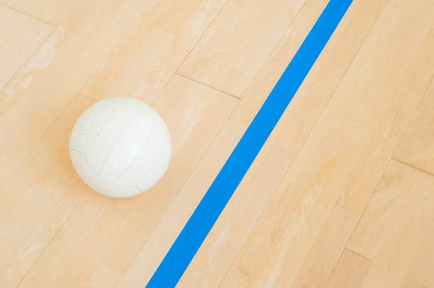 istock Volleyball near the blue line 1136460182