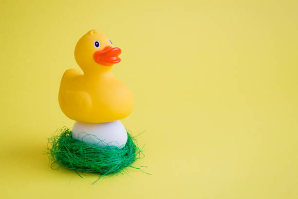 istock Rubber duck taking care of her egg in nest abstract. 1136460734