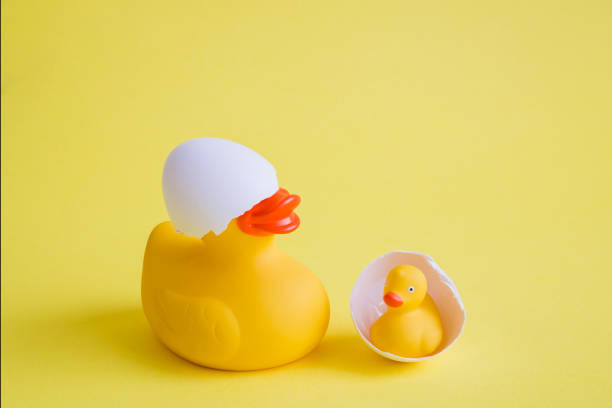 istock Duck and duckling in eggshell birth abstract on yellow background. 1136460850