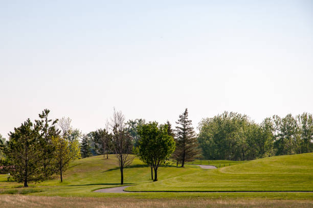 istock Golf course with nobody playing early in the morning 1136461473