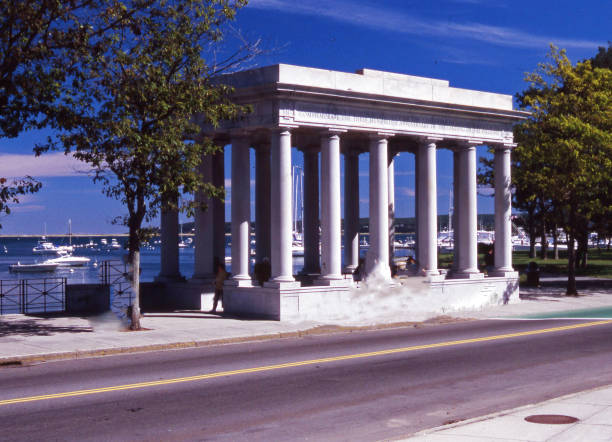 istock Plymouth Rock 1136471910