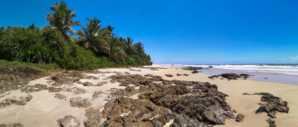 istock Tropical landscape - deserted beach with coconut trees and rocks 1136473937