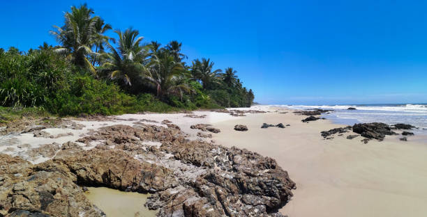 istock Tropical landscape - deserted beach with coconut trees and rocks 1136473981