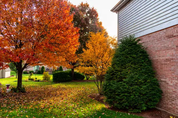 Photo of Suburban Home Backyard Garden during Autumn