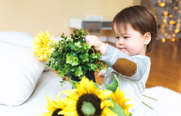 istock Happy toddler boy playing with flowers 1136476917