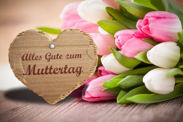 tulips with message saying "Best wishes for Mother's Day" in German tulips with message saying "Best wishes for Mother's Day" in German token photos stock pictures, royalty-free photos & images
