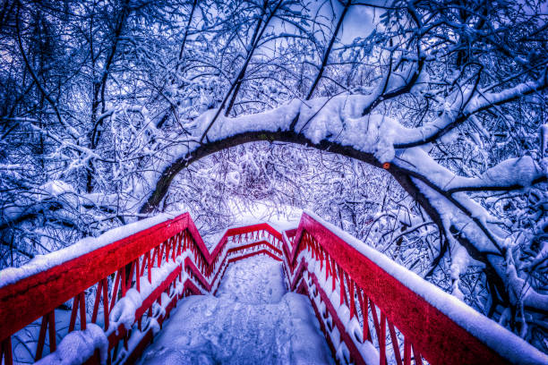 istock Japanese red bridge with snow in the pond during winter 1136478299