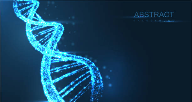 istock Abstract luminous DNA molecule, neon helix on blue background. Medical science, genetic, biotechnology, chemistry, biology. 1136478640
