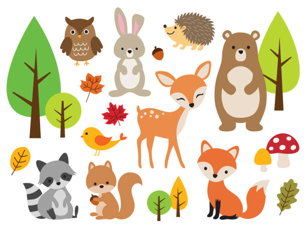 ładny leśny leśny zestaw ilustracji wektorowych zwierząt - królik zwierzę obrazy stock illustrations