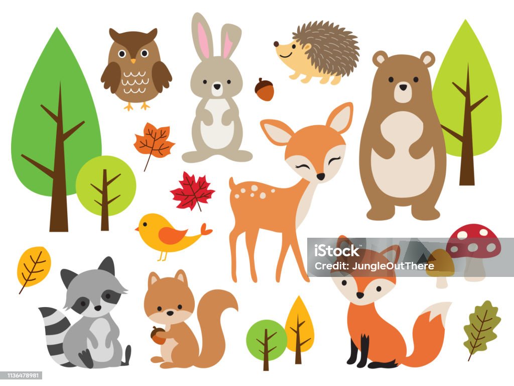 Cute Woodland Forest Animal Vector Illustration Set Stock Illustration -  Download Image Now - iStock
