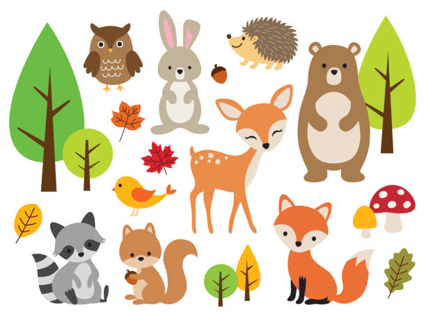 Cute Woodland Forest Animal Vector Illustration Set Vector illustration of cute woodland forest animals including deer, rabbit, hedgehog, bear, fox, raccoon, bird, owl, and squirrel. animals stock illustrations