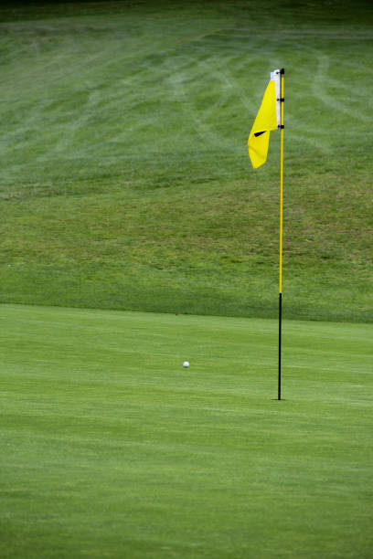istock Golf flag on the green grass 1136482752