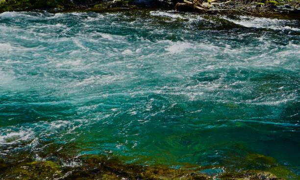 istock Clear And Cold Washington Freshwater 1136484620