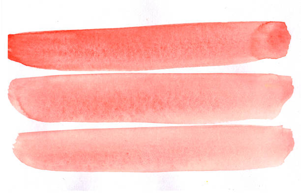 Collection of watercolor brushes, isolated on white background
