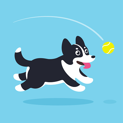 Playing fetch. Funny cartoon dog running after tennis ball. Cute black and white dog vector illustration.