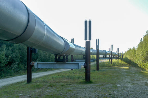 istock Trans-Alaska Oil Pipeline 1136492597