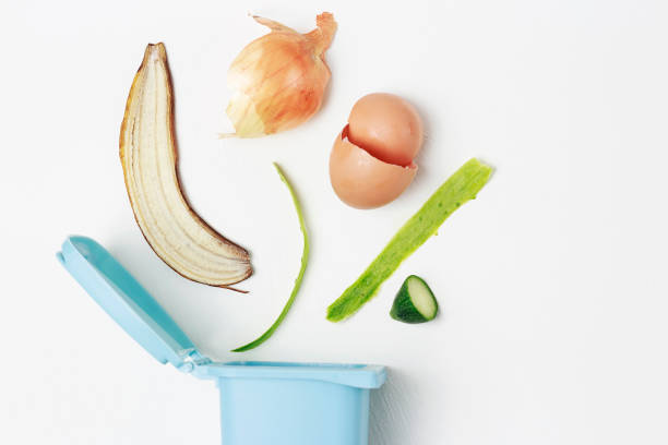 istock organic waste and dumpster on a white background, the concept of garbage sorting 1136493750