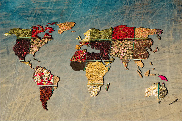 roughly outlined world map with veraity of spice filling - world cuisines imagens e fotografias de stock