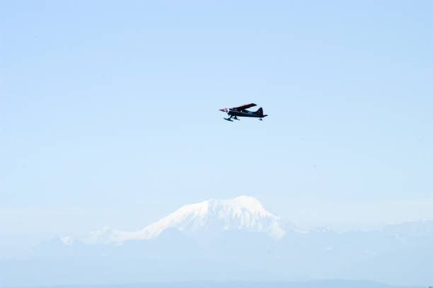 istock Denali National Park - Alaska 1136495770