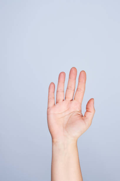 istock female hand raised up on a white background 1136495905