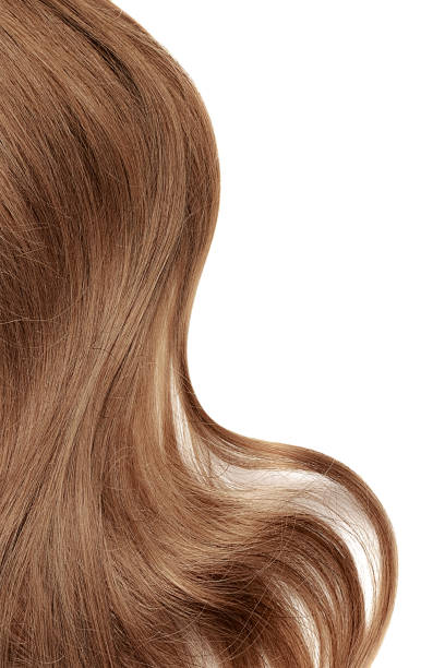 istock Natural brown hair isolated on white. Background 1136498112