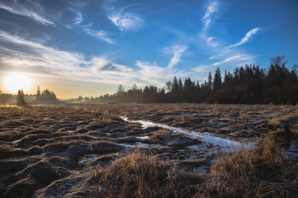 spektakularne niebo we wczesnych mglistych zimowych porankach - winter lake snow fog zdjęcia i obrazy z banku zdjęć