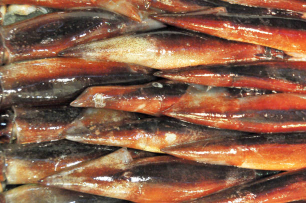 istock Tokyo Tsukiji Fish Market 1136500630