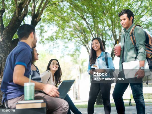 Happy College Friends Stock Photo - Download Image Now - Honduras, Campus, People