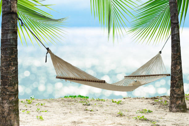istock Summer beach relax with hammock on glowing bokeh from blue sea. 1136502842