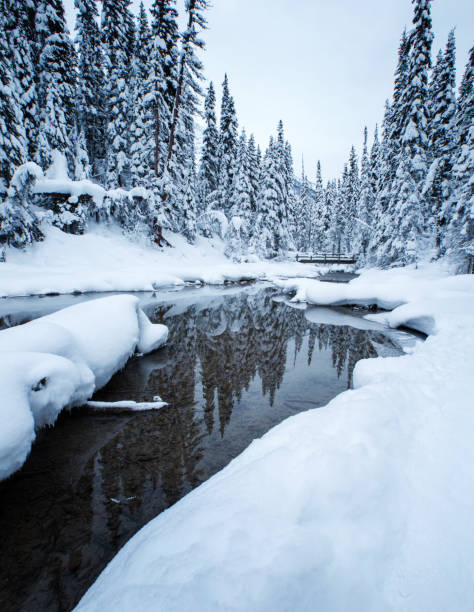 istock Winter Wonderland 1136504624