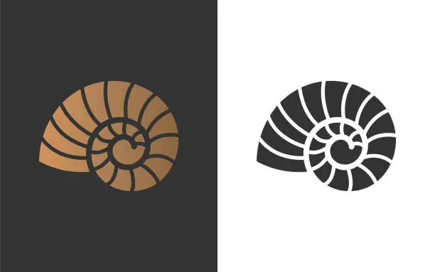 Vector illustration of nautilus copy