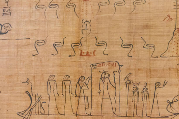 istock Close-up of the ancient egyptian papyrus 1136507518