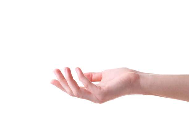 istock Female hand gesture isolated on a white background 1136510238