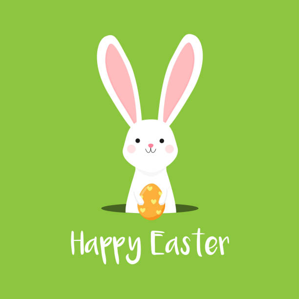 ilustraciones, imágenes clip art, dibujos animados e iconos de stock de conejito de pascua lindo sosteniendo huevo de naranja sobre fondo verde. feliz pascua ilustración vectorial - easter bunny