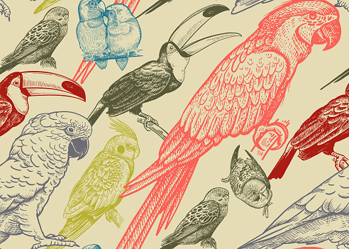Tropical birds. Parrots and toucans. Seamless vector background. Wildlife pattern. Retro vintage. Old engraving style. Pattern for paper, wallpaper, textile, Hawaiian shirts. Color ornament.