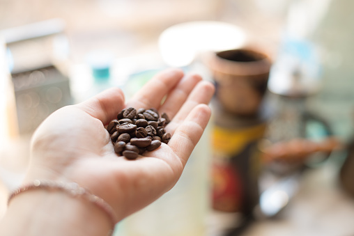 Cropped shot of a woman's hands holding freshly roastd aromatic coffee beans