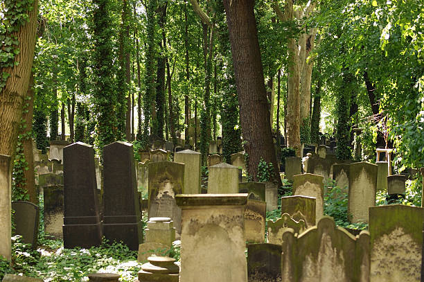istock detail of a old graveyard in Berlin 113651485