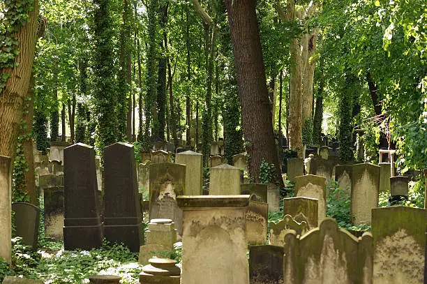 Photo of detail of a old graveyard in Berlin