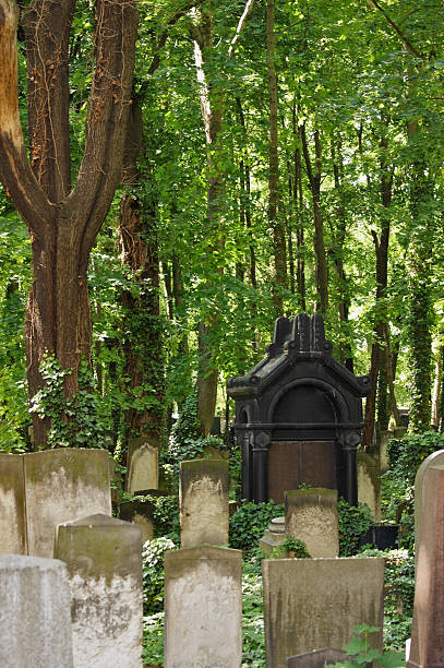 istock detail of a old graveyard in Berlin 113651487