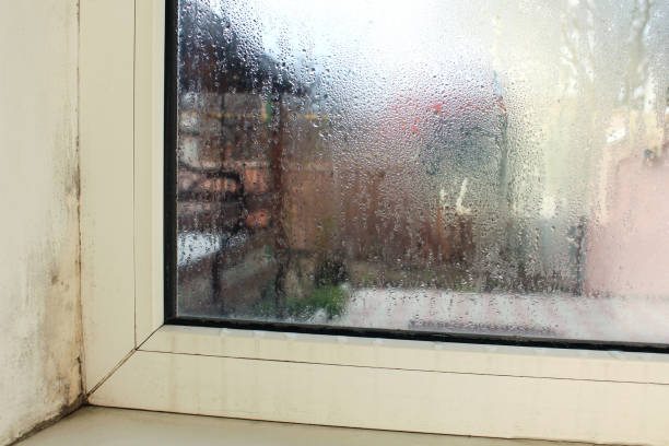 плесень возле окна в доме. конденсат на окне. - window rain winter house стоковые фото и изображения