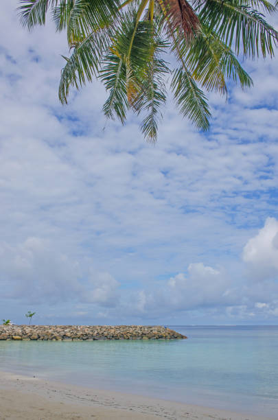 istock ocean coast on Maldives with white sand and clear water 1136517181