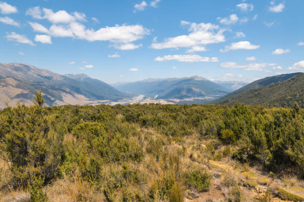 typisches hochland in der region marlborough, neuseeland - marlborough region zealand new landscape stock-fotos und bilder